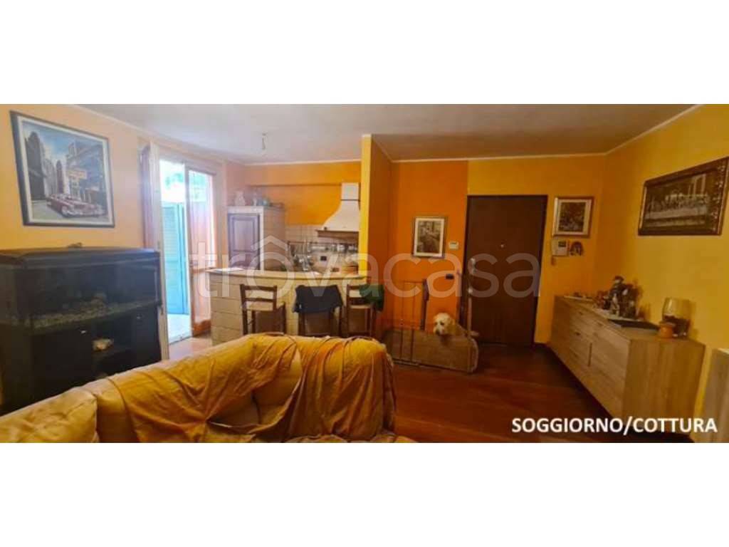 immagine annuncio 3 di 11