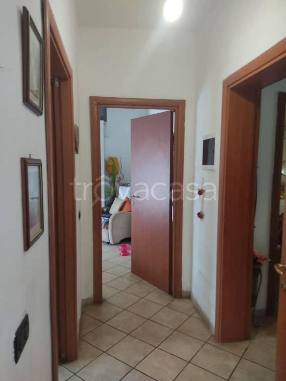 immagine annuncio 7 di 8