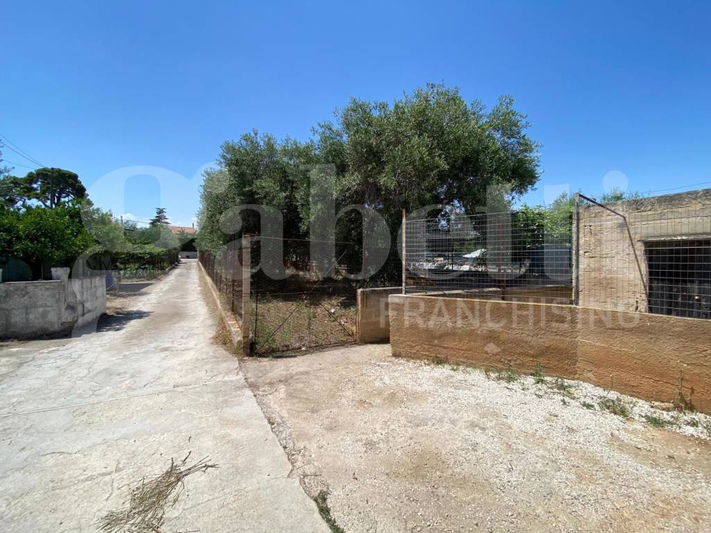 immagine annuncio 1 di 11