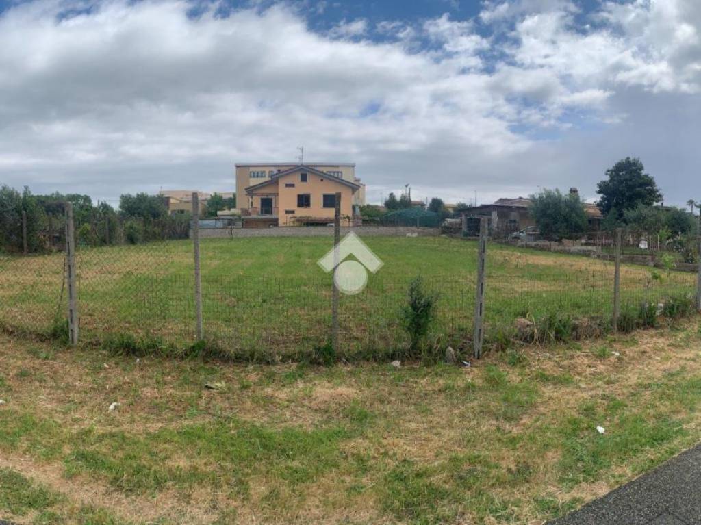 immagine annuncio 3 di 14