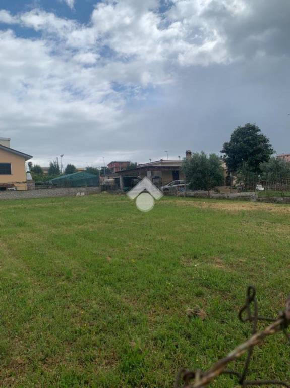 immagine annuncio 4 di 14