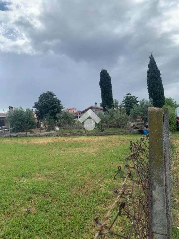 immagine annuncio 7 di 14