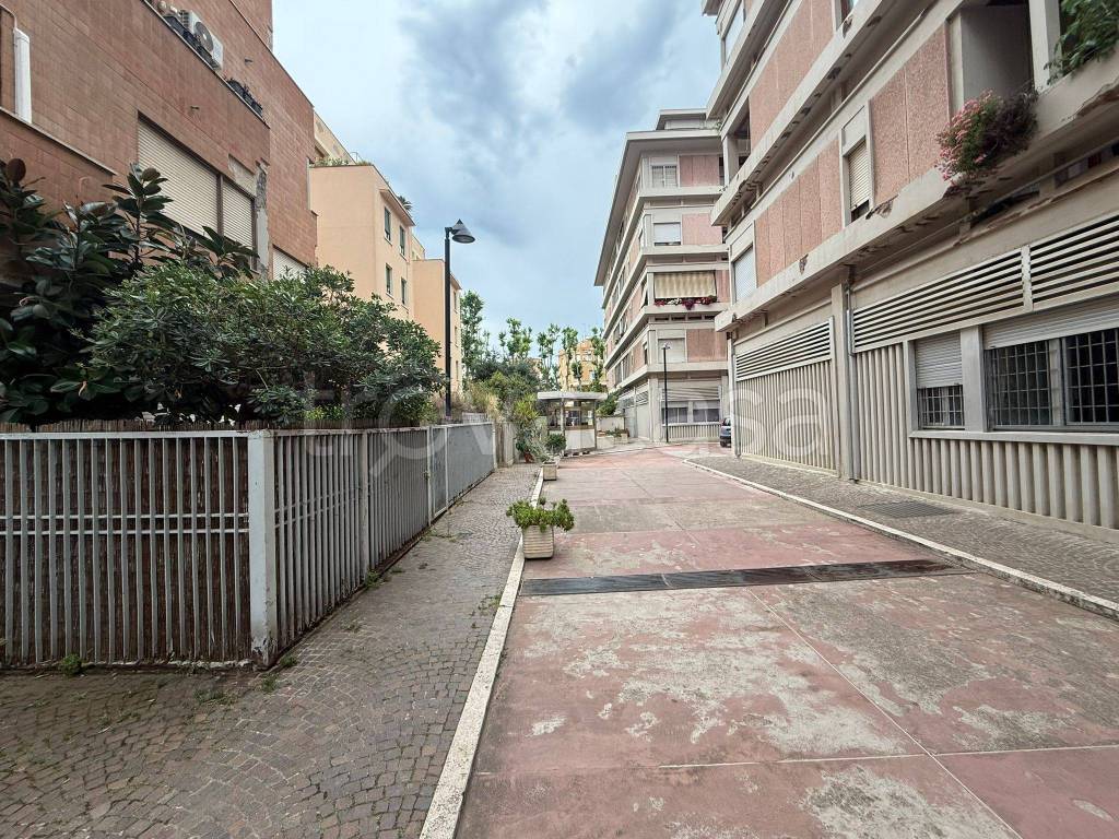immagine annuncio 2 di 14