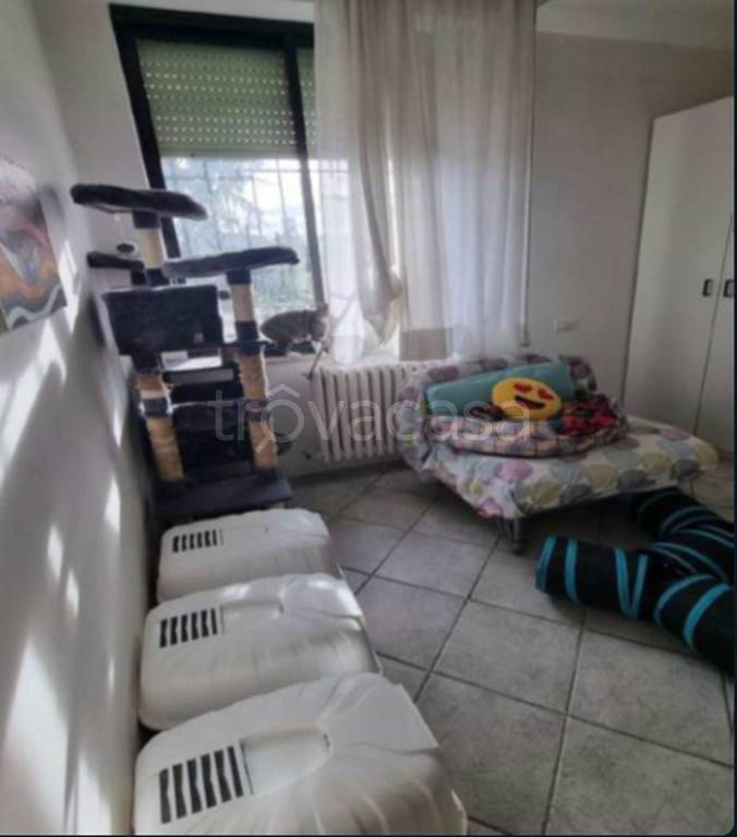 immagine annuncio 5 di 12