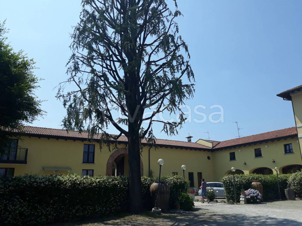 immagine annuncio 8 di 15