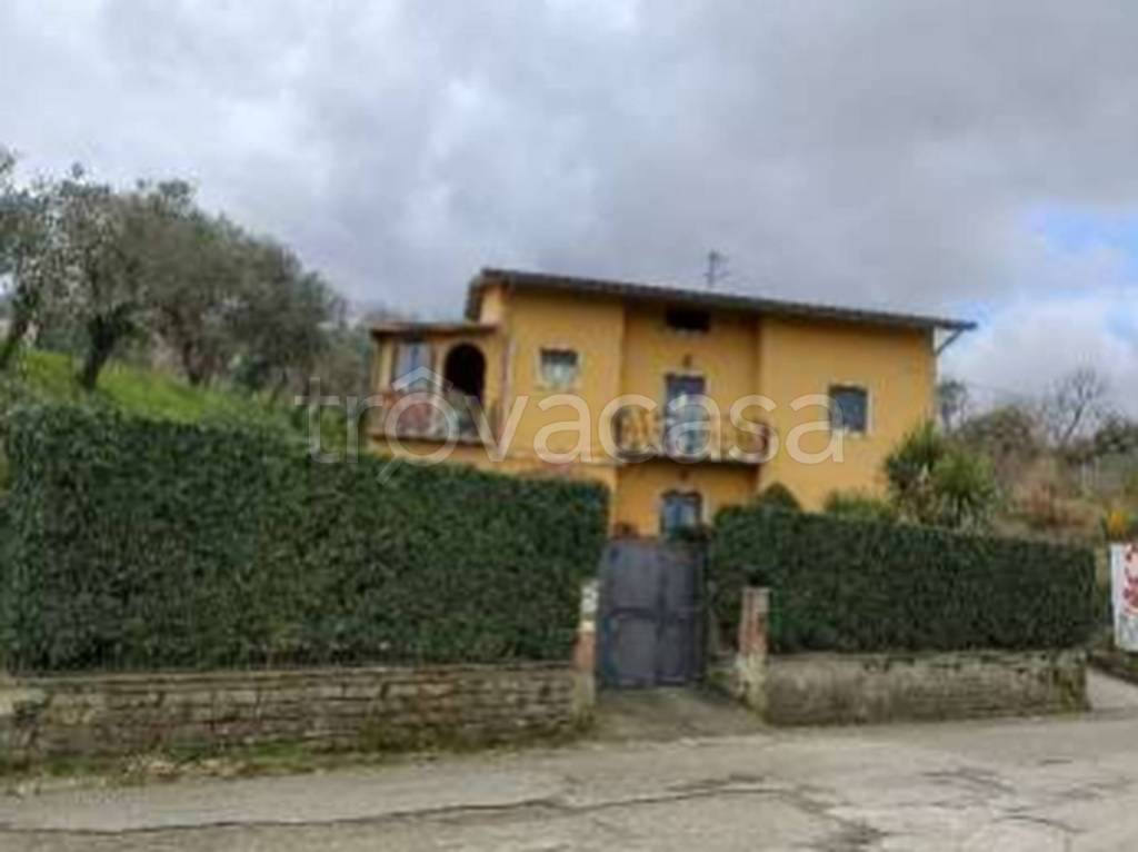 immagine annuncio 12 di 13