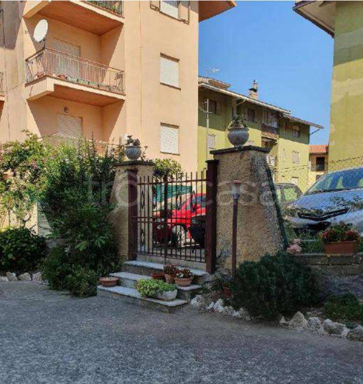 immagine annuncio 9 di 14