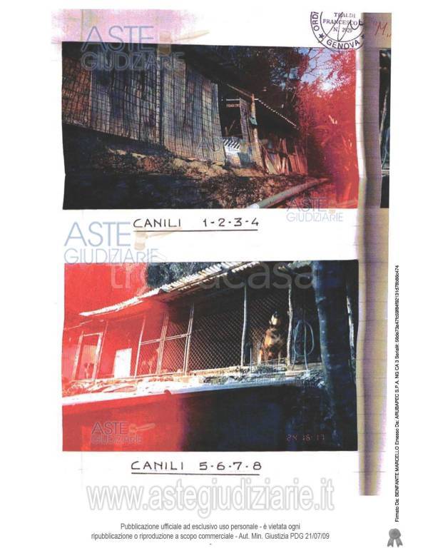 immagine annuncio 2 di 9
