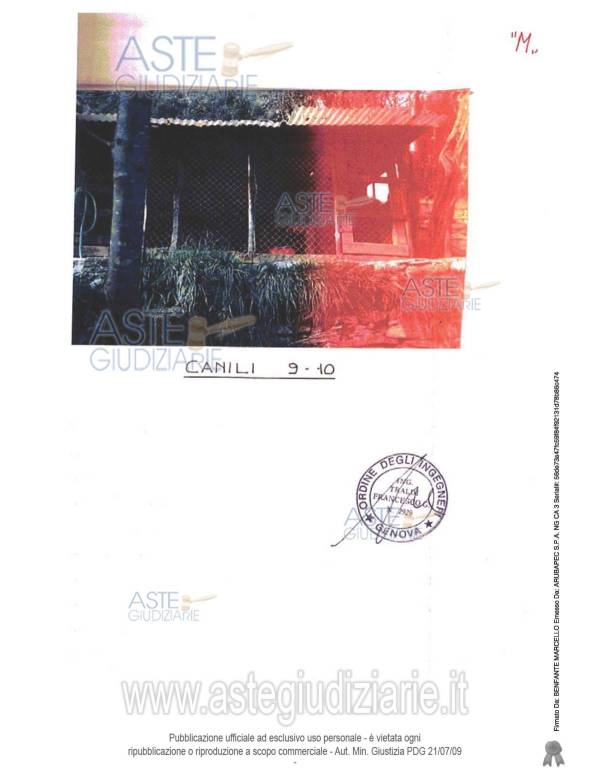 immagine annuncio 3 di 9