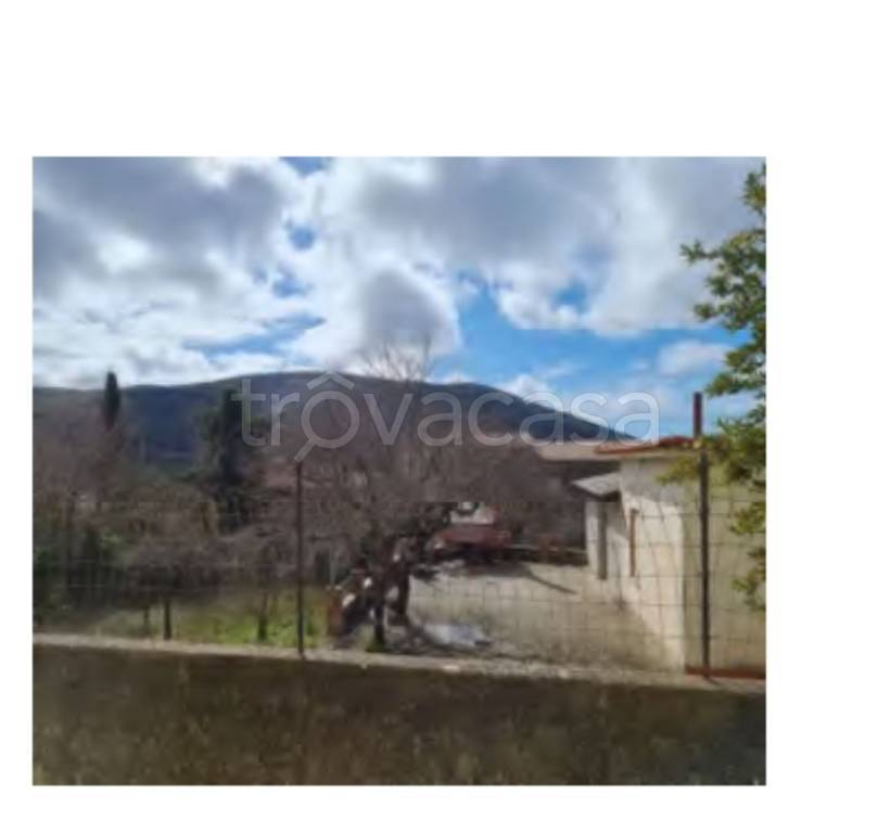immagine annuncio 5 di 14