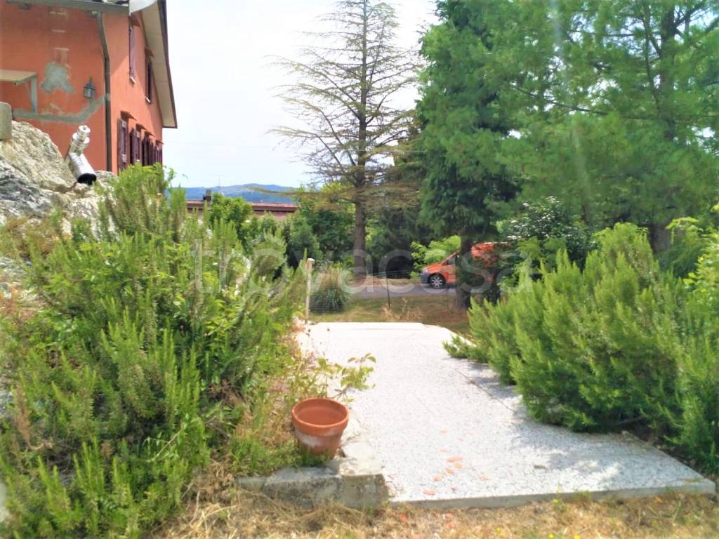 immagine annuncio 4 di 14
