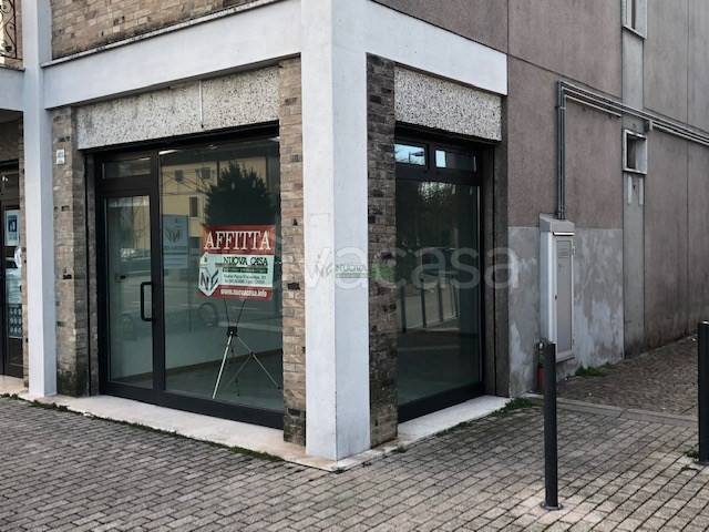 immagine annuncio 1 di 3