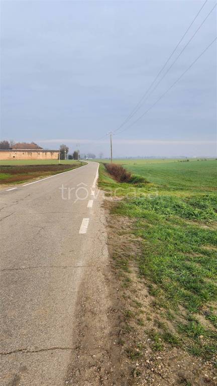 immagine annuncio 4 di 6