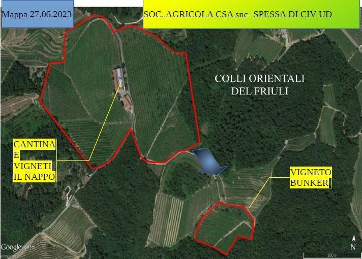 immagine annuncio 9 di 10