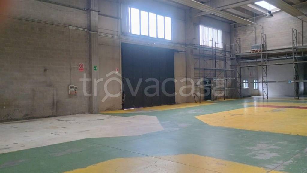 immagine annuncio 2 di 7