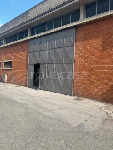 immagine annuncio 4 di 11