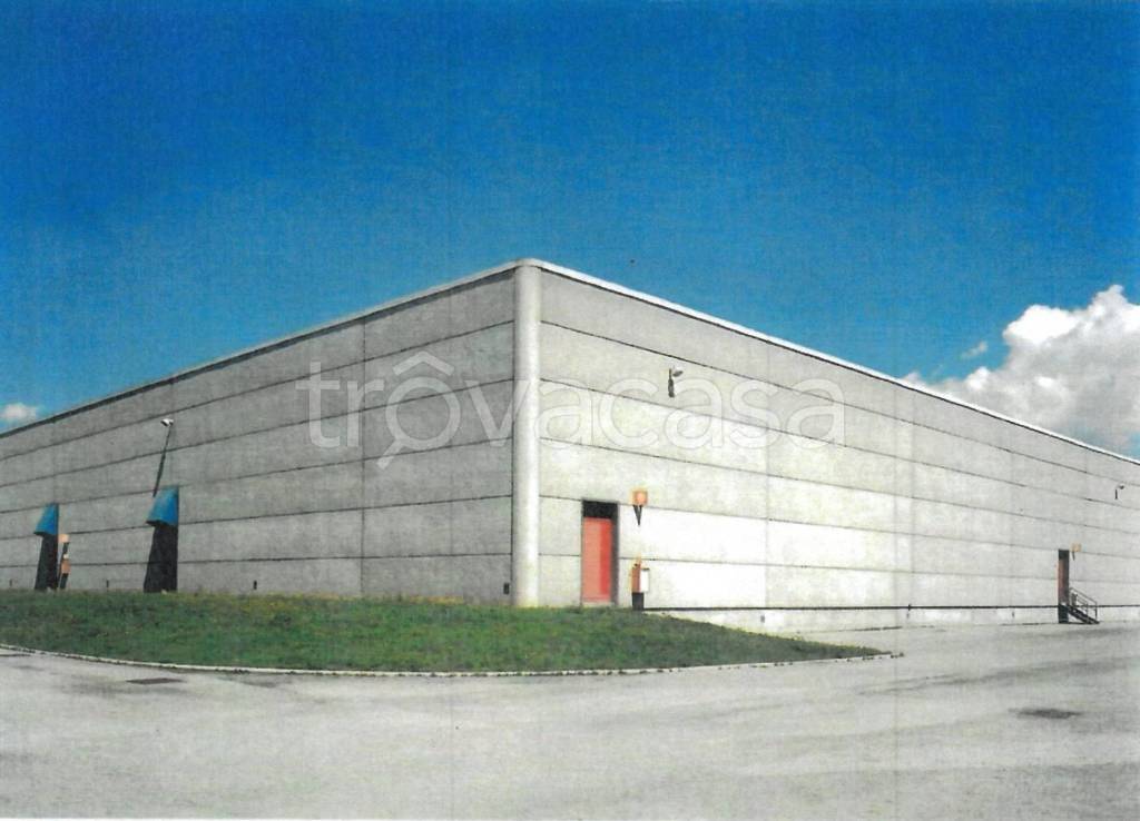 immagine annuncio 7 di 8