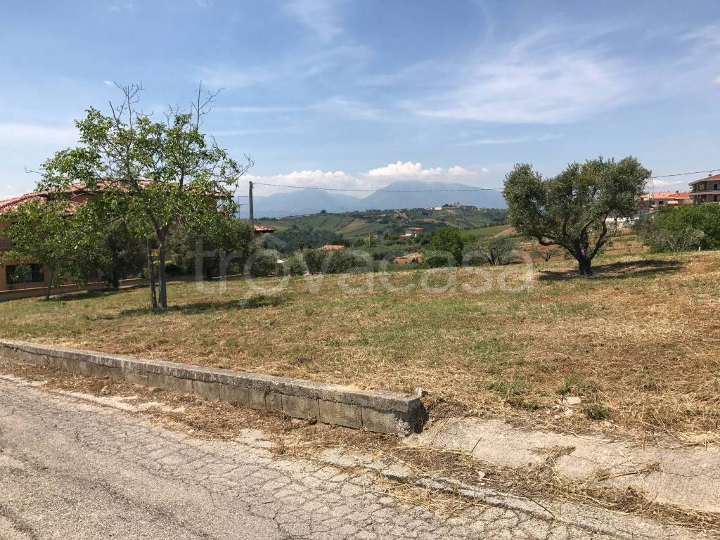 immagine annuncio 2 di 14
