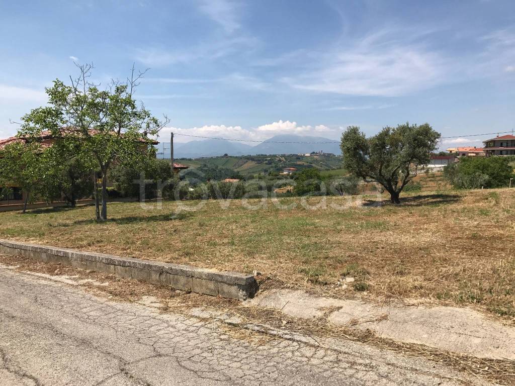 immagine annuncio 4 di 14