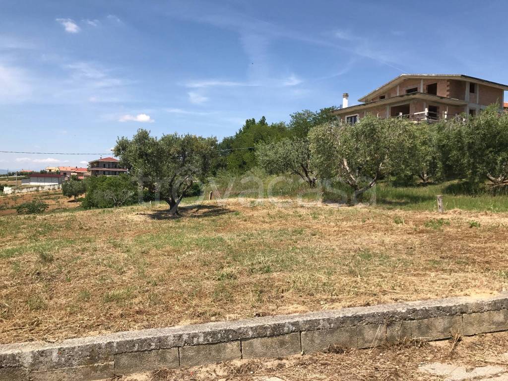 immagine annuncio 5 di 14