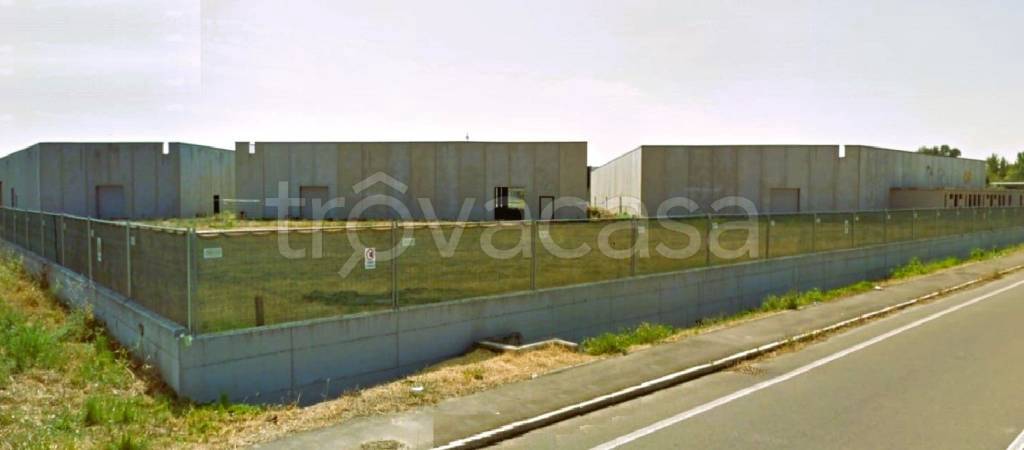 immagine annuncio 1 di 6