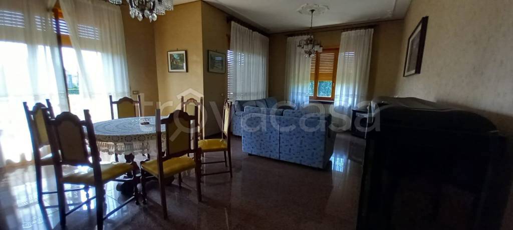 immagine annuncio 12 di 13
