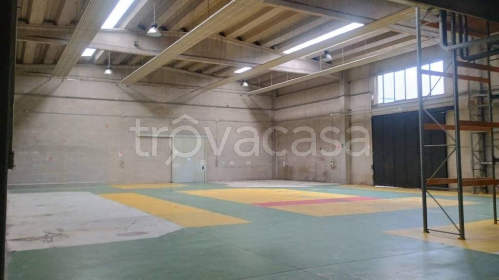 immagine annuncio 2 di 7