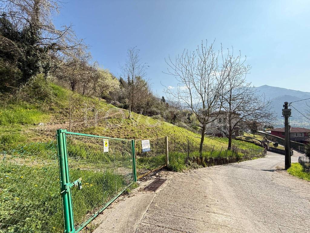immagine annuncio 7 di 9