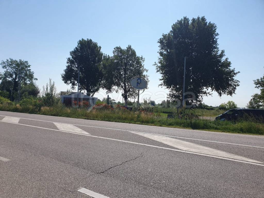 immagine annuncio 6 di 7