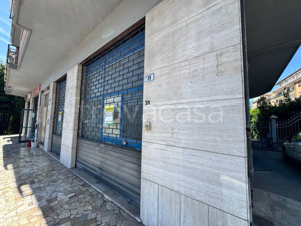 immagine annuncio 4 di 14