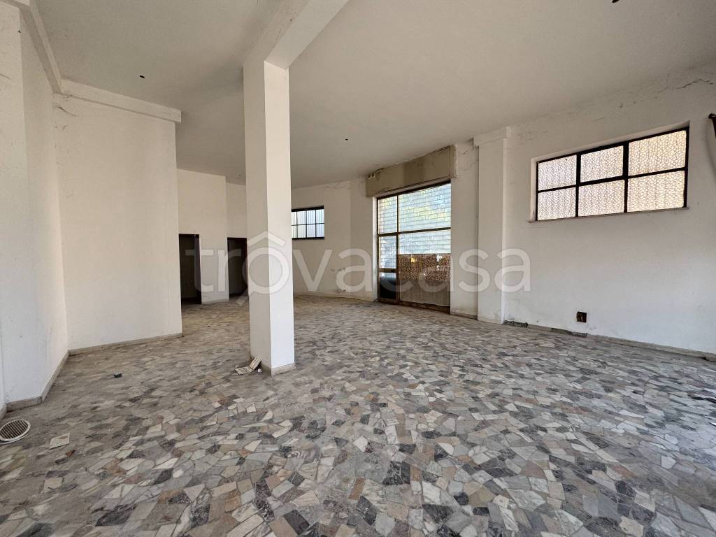 immagine annuncio 6 di 14