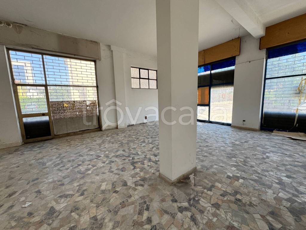 immagine annuncio 7 di 14