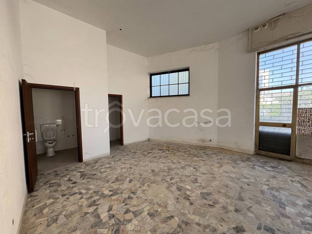 immagine annuncio 8 di 14