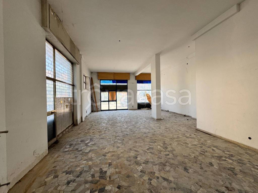 immagine annuncio 11 di 14