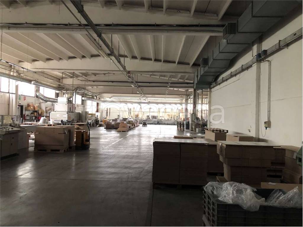 immagine annuncio 1 di 9