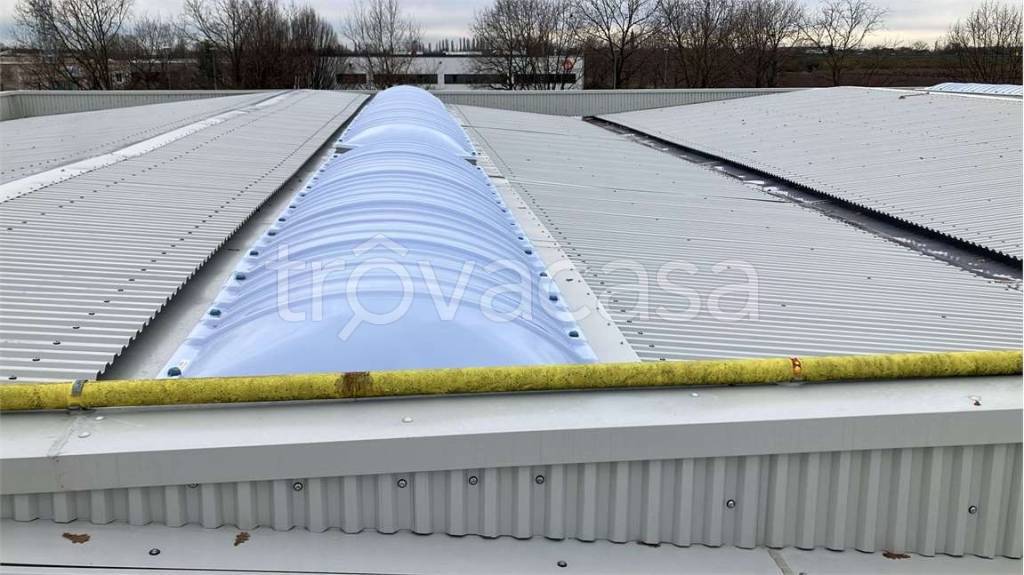 immagine annuncio 4 di 9