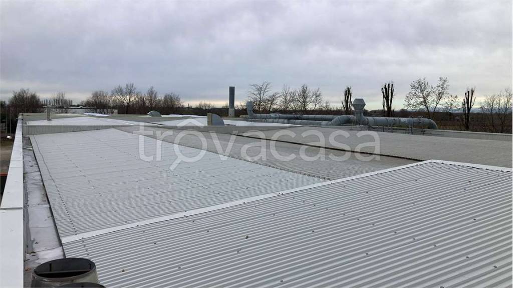 immagine annuncio 5 di 9