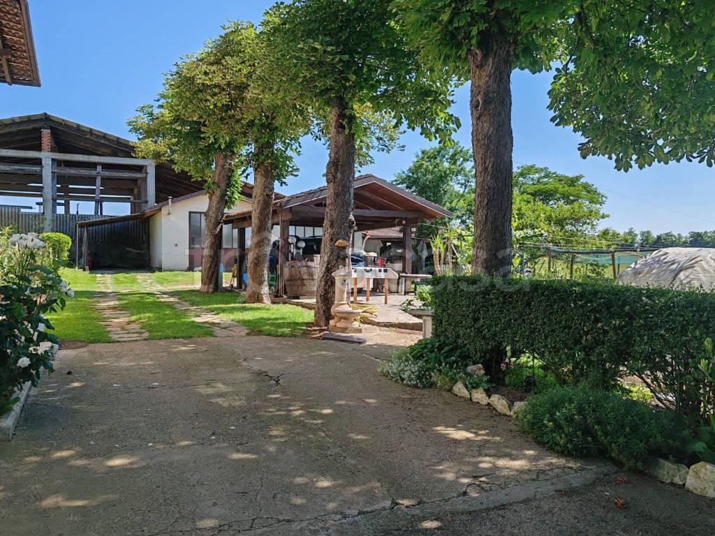 immagine annuncio 9 di 15
