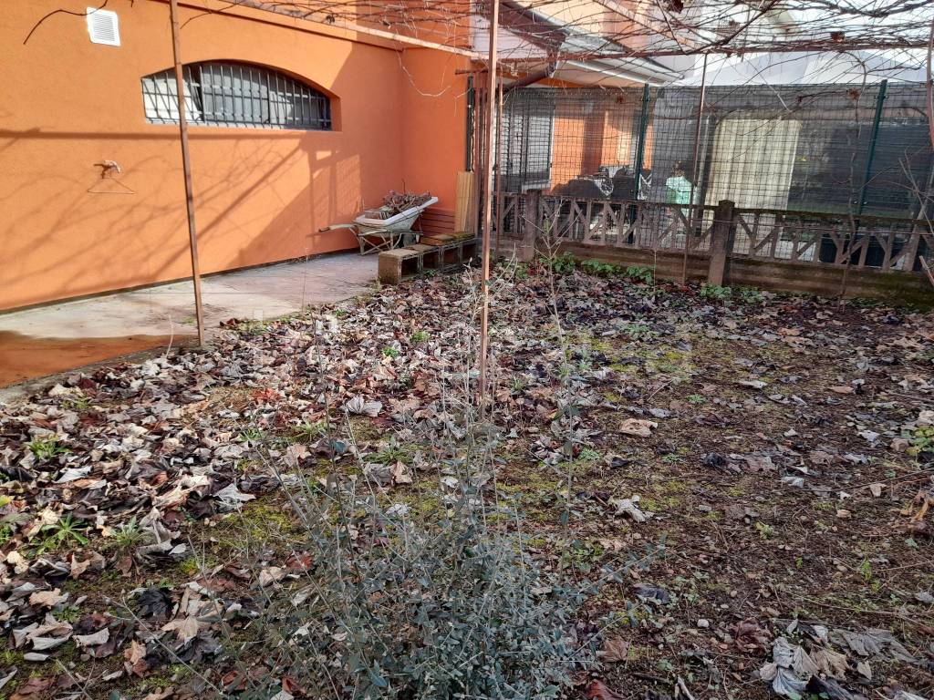 immagine annuncio 3 di 15