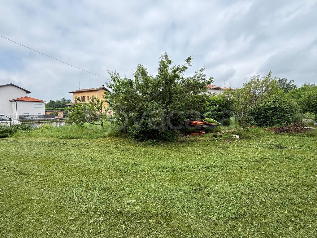 immagine annuncio 5 di 7