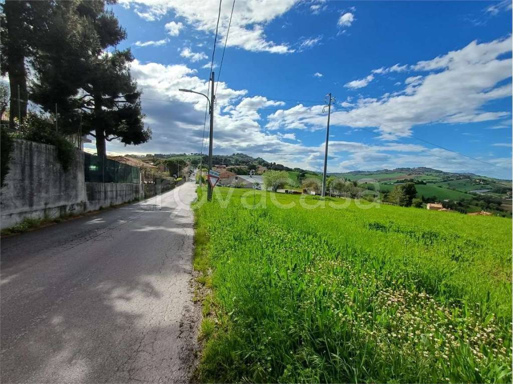 immagine annuncio 2 di 3