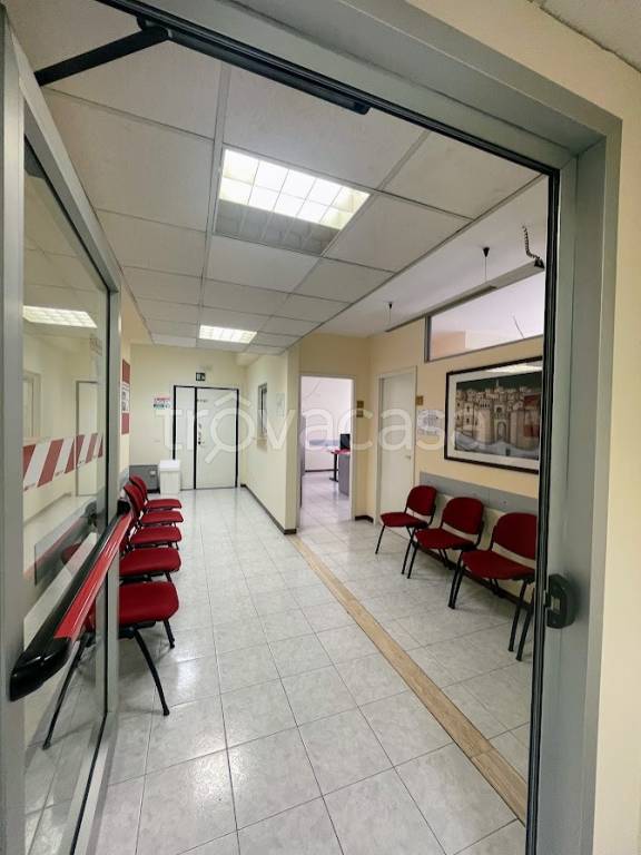 immagine annuncio 7 di 13