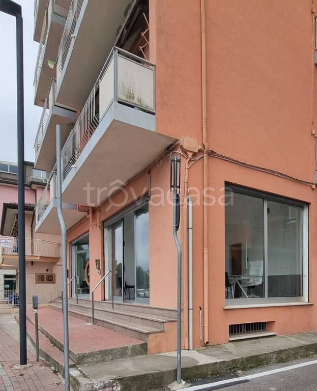 immagine annuncio 2 di 12