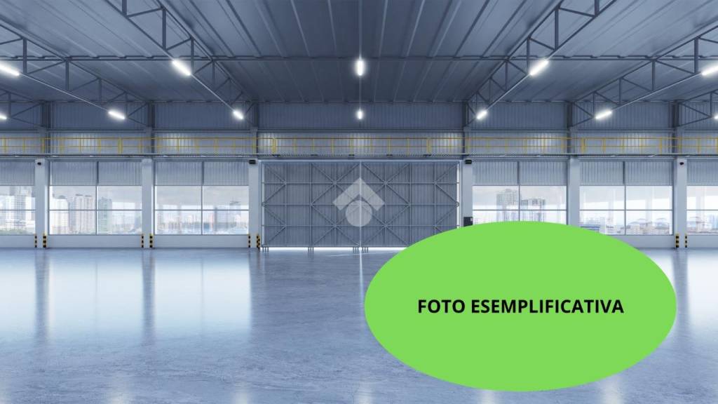 immagine annuncio 5 di 7