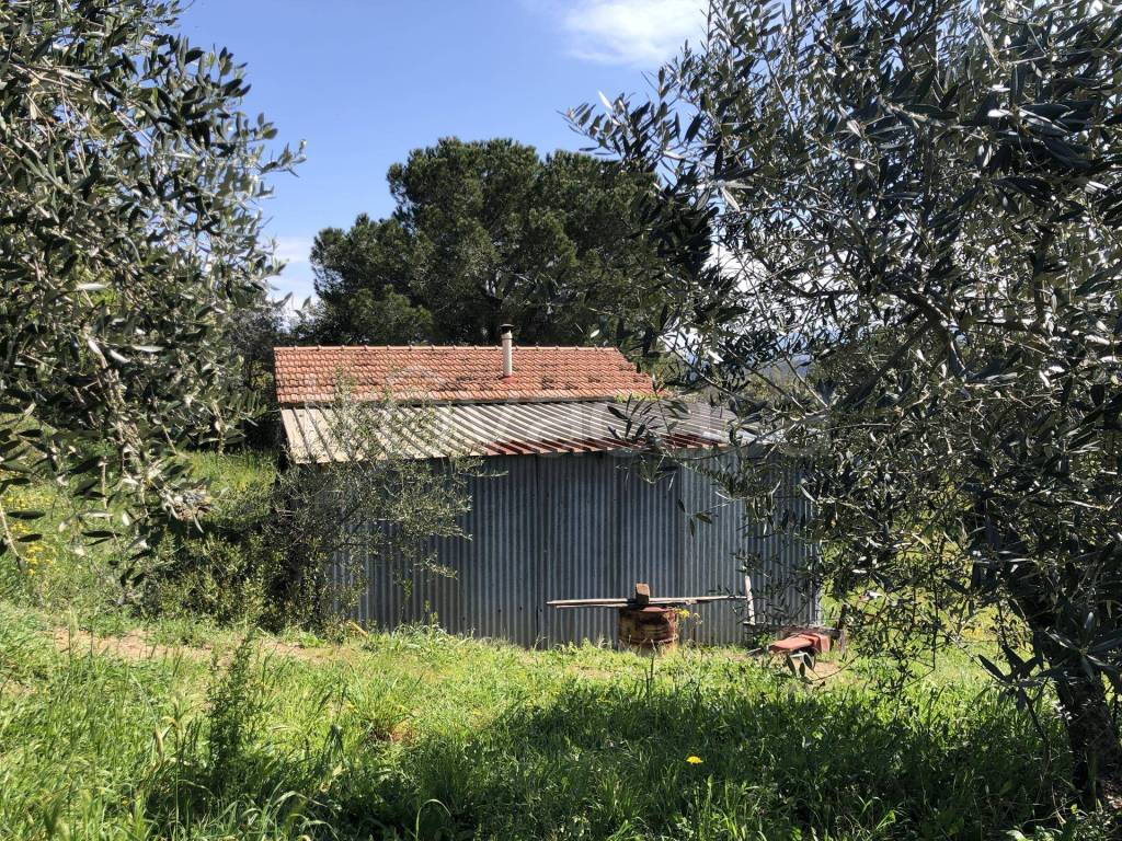 immagine annuncio 4 di 15