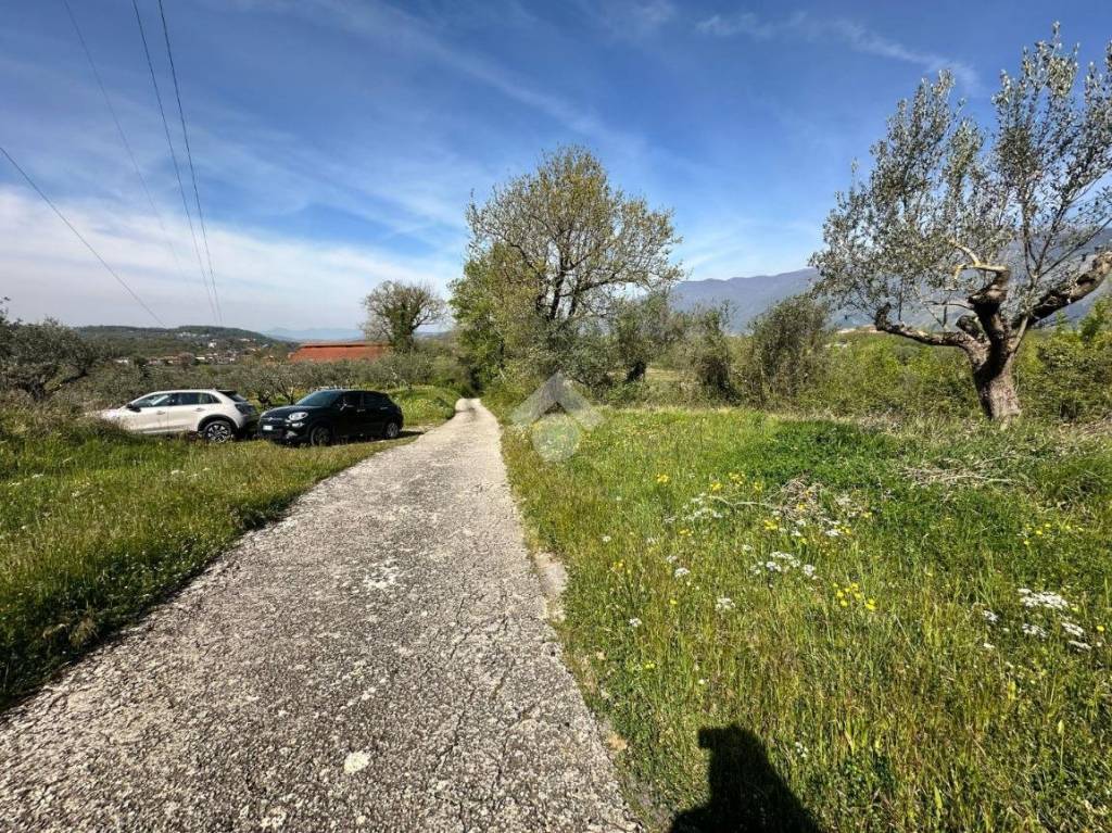 immagine annuncio 8 di 11