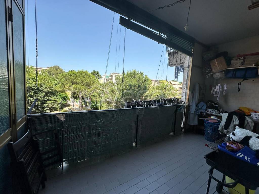 immagine annuncio 9 di 11