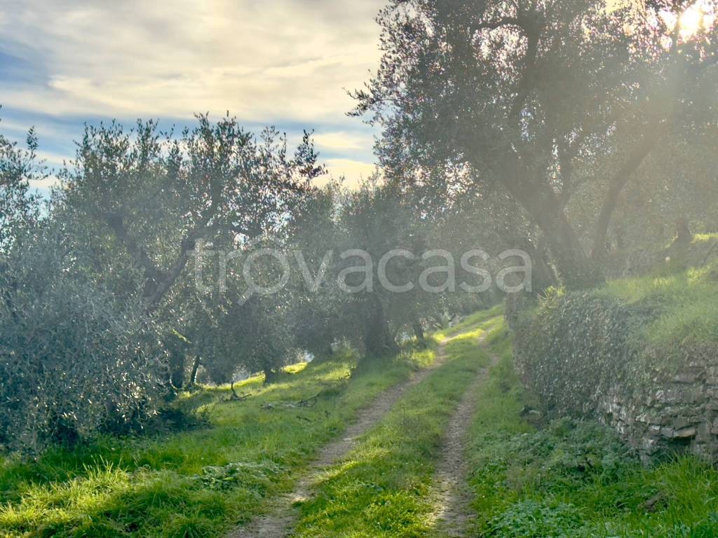 immagine annuncio 7 di 9