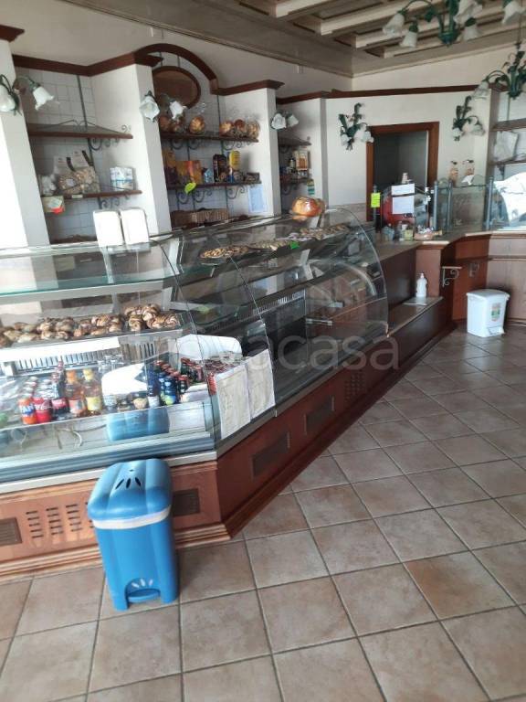immagine annuncio 4 di 7