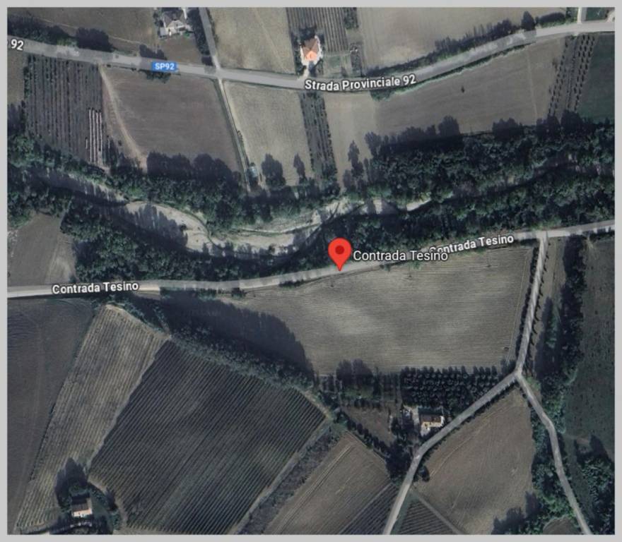 immagine annuncio 11 di 15